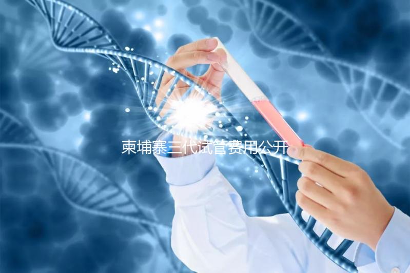 柬埔寨三代試管費用公開，不同項目價格不同