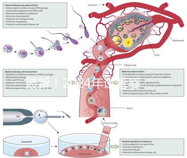 最新！2024年試管嬰兒醫院排行榜來了！（附名單）