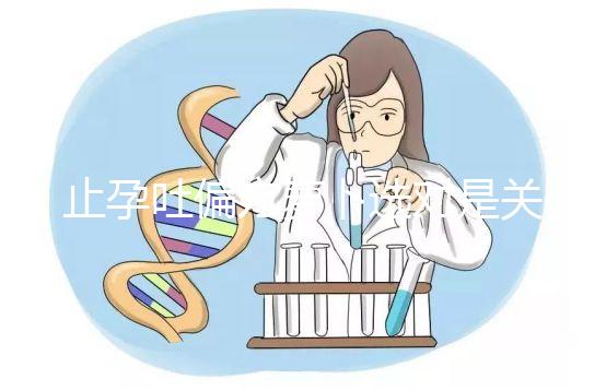 止孕吐偏方蘿卜選對(duì)是關(guān)鍵，懷孕初期生吃or煲湯功效不同