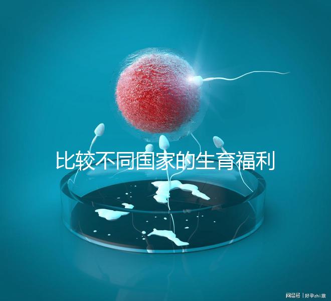 比較不同國家的生育福利｜生孩子還能拿到錢嗎？