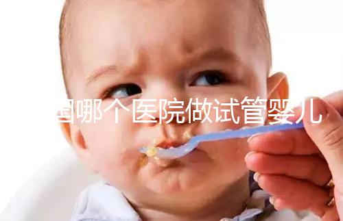 泰國哪個(gè)醫(yī)院做試管嬰兒比較厲害？全面解析與推薦