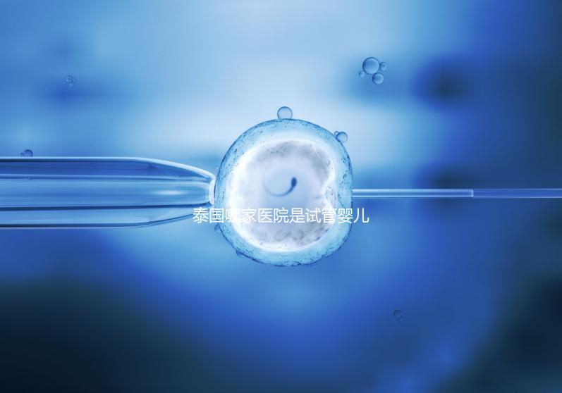 泰國哪家醫(yī)院是試管嬰兒最強(qiáng)大的醫(yī)院？這五家公司最受歡迎