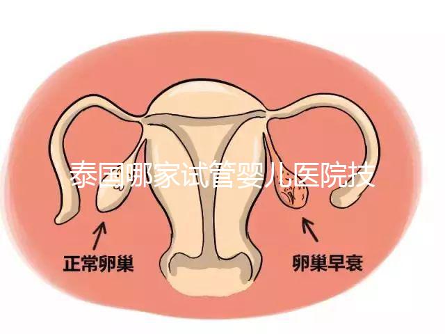 泰國哪家試管嬰兒醫院技術好？這些醫院排名前三