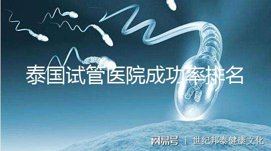 泰國(guó)試管醫(yī)院成功率排名公布，這些詳細(xì)介紹，為您提供選擇參考！