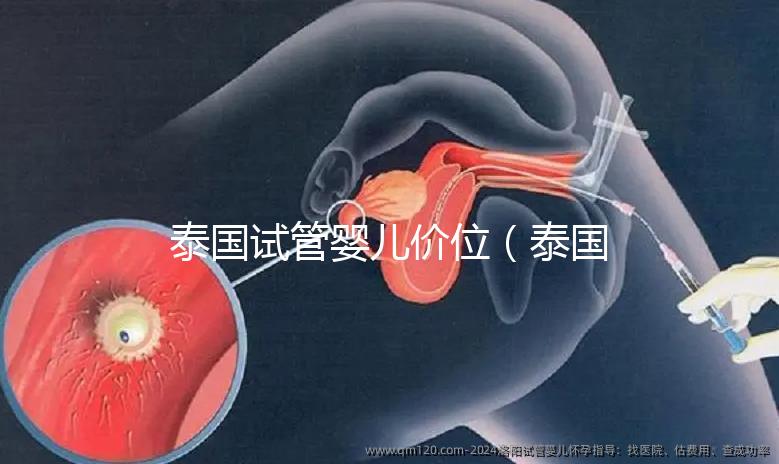 泰國試管嬰兒價位（泰國試管嬰兒價位多少）