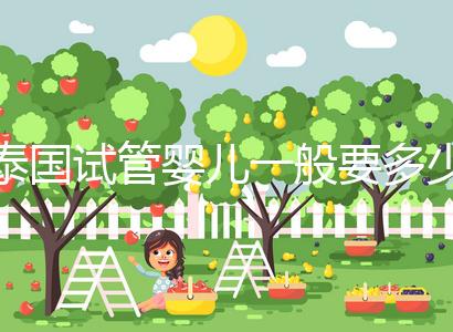 泰國(guó)試管嬰兒一般要多少錢(qián)(泰國(guó)試管嬰兒一般要多少錢(qián)費(fèi)用)