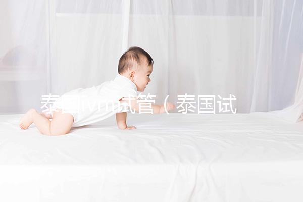 泰國ivm試管(泰國試管的)