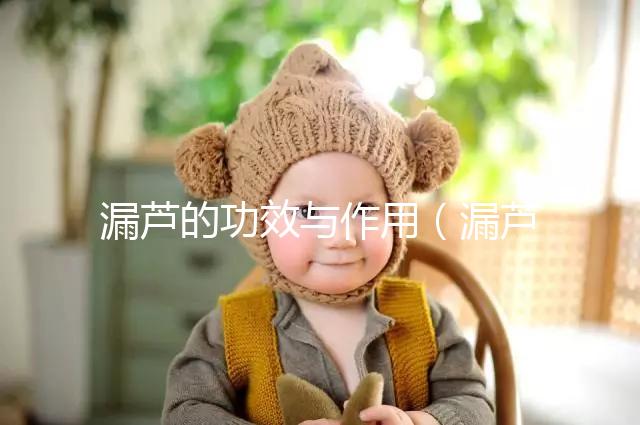 漏蘆的功效與作用(漏蘆的毒性有多強)