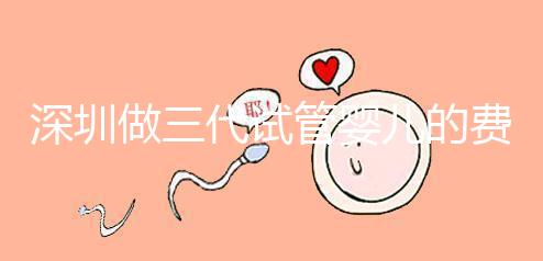 深圳做三代試管嬰兒的費(fèi)用大概多少錢(qián)一次？