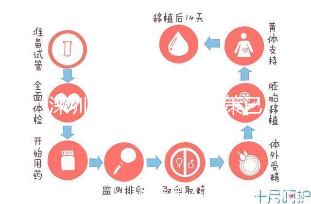 深圳最新獨生子女政策已出爐，羅湖、南山區補貼金均有提高