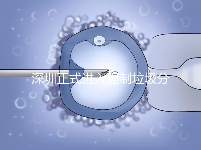 深圳正式進入強制垃圾分類時代,不分類最高被罰50萬!