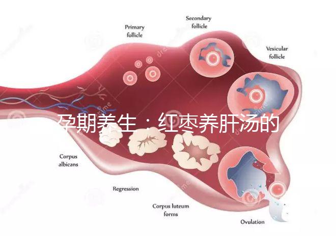 孕期養(yǎng)生：紅棗養(yǎng)肝湯的做法步驟圖解介紹