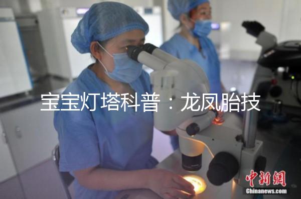 寶寶燈塔科普:龍鳳胎技術的原理和發展!