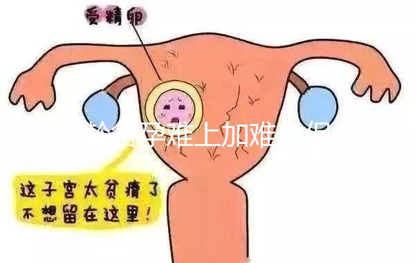 大齡備孕難上加難，但為什么越年輕的女性越容易懷孕？