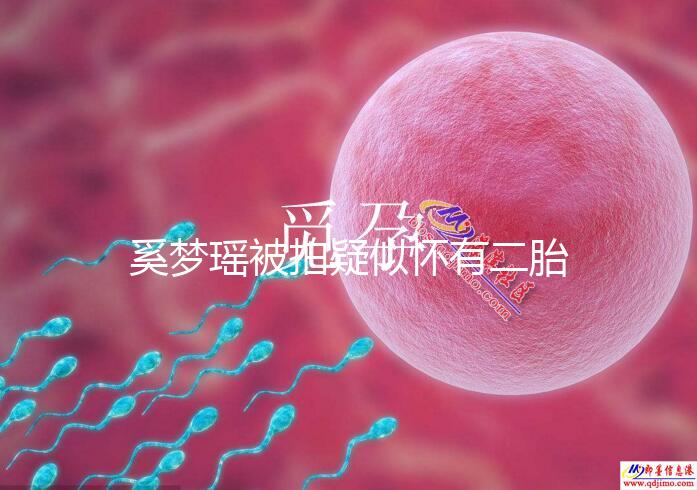 奚夢(mèng)瑤被拍疑似懷有二胎,四太陪同產(chǎn)檢未見(jiàn)何猷君