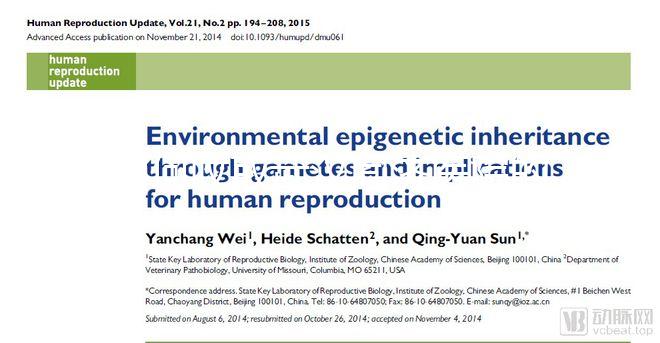 如何收取武漢同濟(jì)醫(yī)院的養(yǎng)囊費(fèi)?查看最新試管費(fèi)用明細(xì)估算?