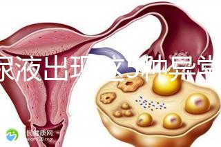 當(dāng)尿液出現(xiàn)這5種異常情況，那么腎功能檢查刻不容緩