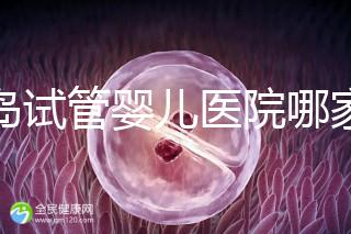 青島試管嬰兒醫(yī)院哪家比建議，成功率有多少？