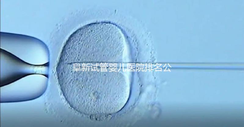 阜新試管嬰兒醫(yī)院排名公開，附2024年助孕費(fèi)明細(xì)