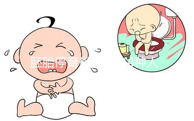 胚胎停育最愛找這4種人的麻煩,學(xué)會預(yù)防降低風(fēng)險(xiǎn)