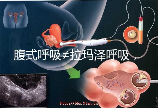 腹式呼吸≠拉瑪澤呼吸,想緩解分娩痛請先分清二者區別