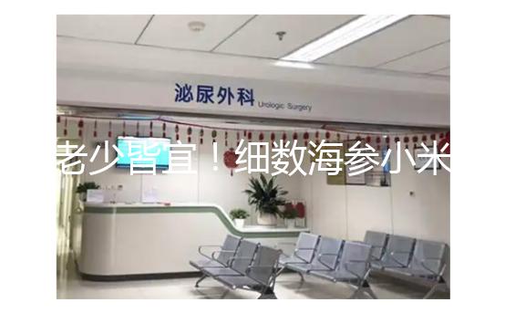 老少皆宜！細(xì)數(shù)海參小米粥常見的6大功效