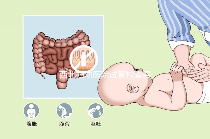 西北婦幼醫(yī)院試管檢查費(fèi)用流出!做完記得來(lái)這領(lǐng)報(bào)告單
