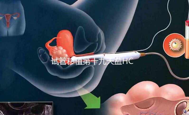 試管移植第十九天血HCG值多少正常?還有胎兒圖片在這里