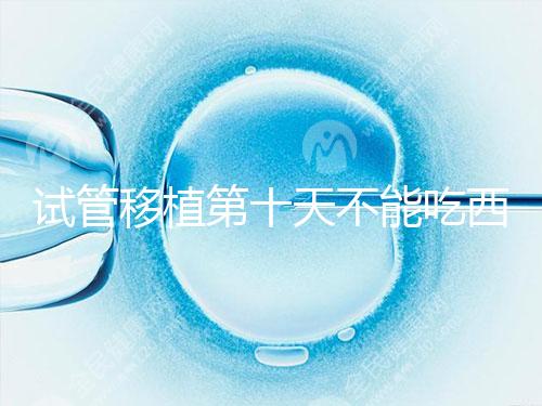 試管移植第十天不能吃西瓜！影響胚胎發育可不是玩笑話