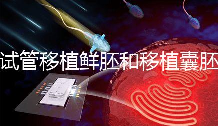 試管移植鮮胚和移植囊胚哪個(gè)成功率會(huì)高?