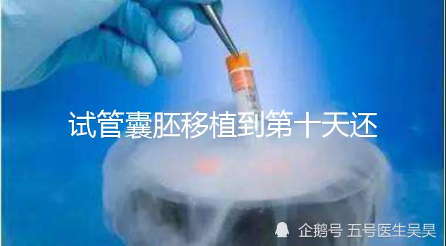 試管囊胚移植到第十天還是白板別擔心，放松心態等逆襲吧！