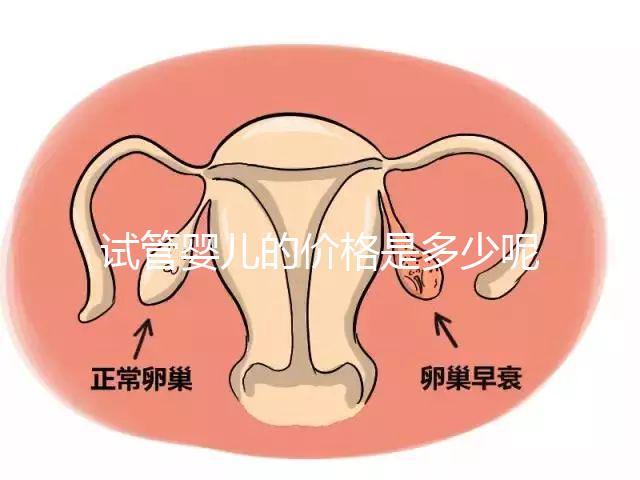 試管嬰兒的價(jià)格是多少呢？