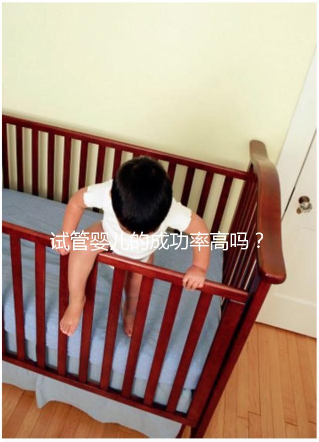 試管嬰兒的成功率高嗎？卵泡質量或為關鍵因素