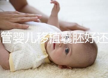 試管嬰兒移植囊胚好還是胚胎好，一文分析