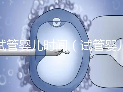 試管嬰兒時(shí)間(試管嬰兒時(shí)間需要多久)
