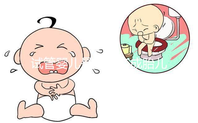 試管嬰兒是如何變成胎兒的？一組3D圖告訴你，心疼受苦的媽媽