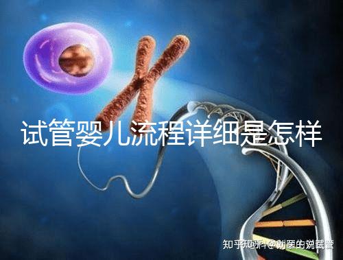 試管嬰兒流程詳細是怎樣的？步驟+注意事項一文讀懂！