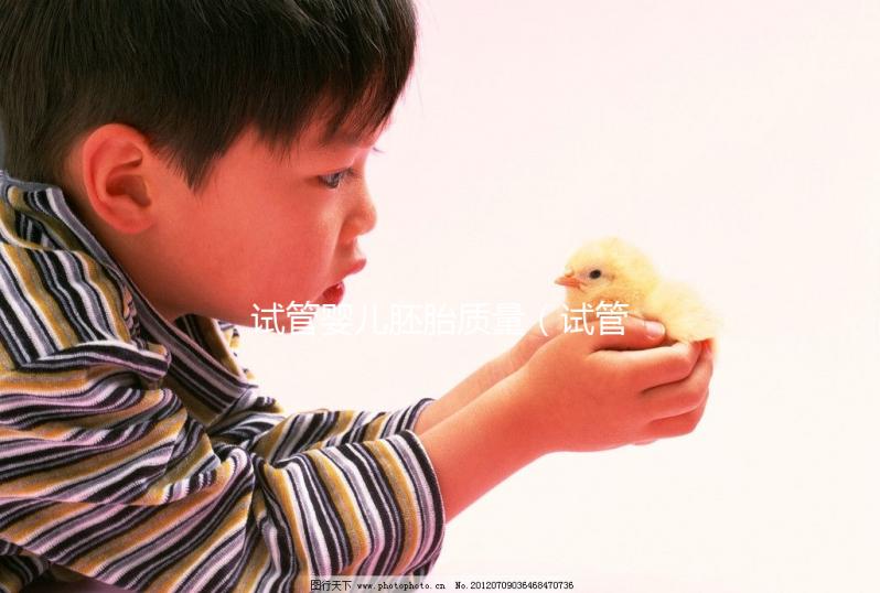 試管嬰兒胚胎質量(試管嬰兒胚胎質量等級)