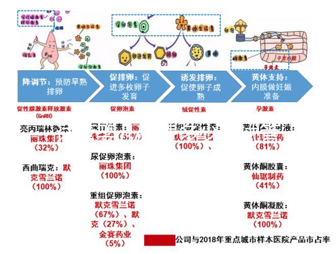 試管嬰兒花費多少（試管嬰兒花費多少錢？）