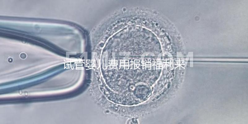 試管嬰兒費用報銷福利來了,北京納入醫保新政策已落地