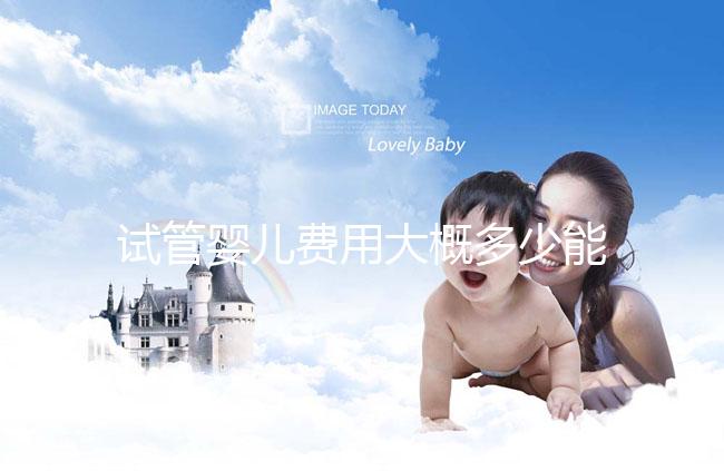 試管嬰兒費用大概多少能報銷醫保（試管嬰兒費用大概多少能報銷醫保啊）