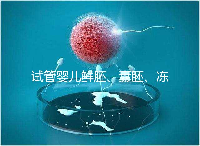 試管嬰兒鮮胚、囊胚、凍胚那個成功率高？