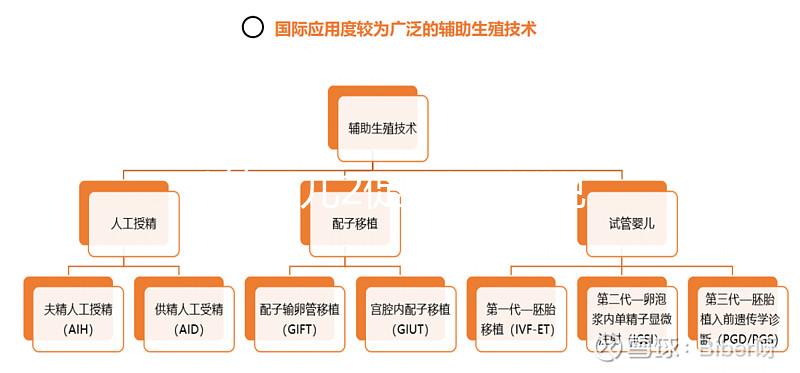 試管嬰兒2促3移，說說5點(diǎn)我的成功懷孕經(jīng)驗(yàn)