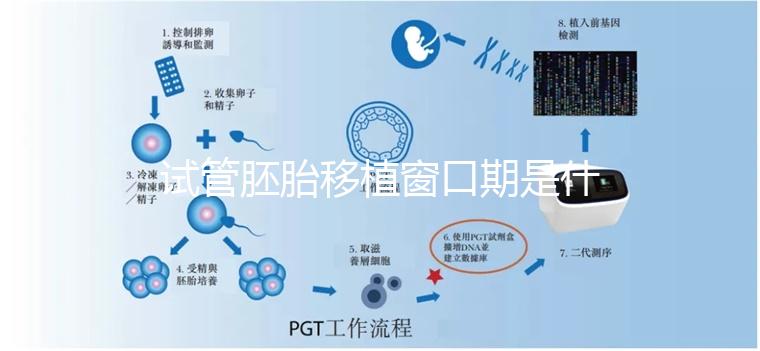 試管胚胎移植窗口期是什么？如何選對時機？