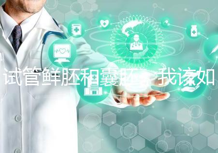 試管鮮胚和囊胚,我該如何選?