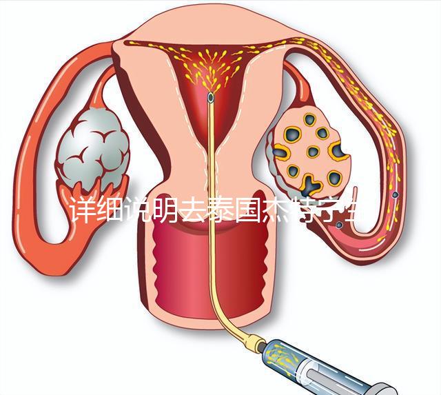 詳細(xì)說明去泰國杰特寧生殖中心做第三代試管技術(shù)的五大優(yōu)勢(shì),幫助你克服生育問題,快速隱藏!