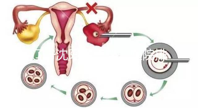 遼寧沈陽試管嬰兒醫院排名匯總新鮮出爐：這14家值得一看！