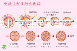 誰說北京海淀剖宮產(chǎn)自付費用高,了解2024年生育保險報銷比例?