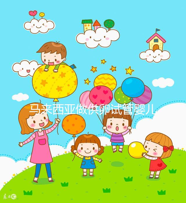 馬來西亞做供卵試管嬰兒，當地政府法律支持它的合法性么？