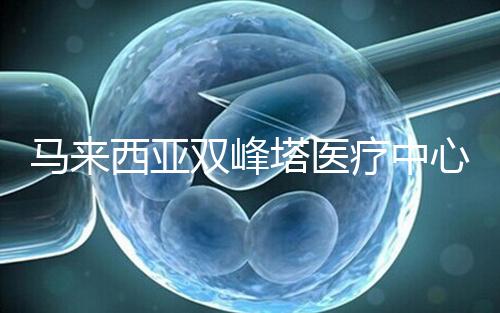 馬來西亞雙峰塔醫療中心(TTMC):位于吉隆坡的一站式綜合醫院